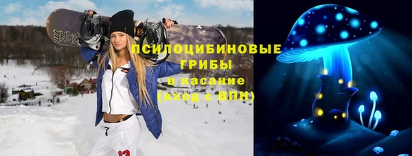 трава Беломорск