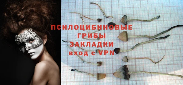 apvp Белокуриха