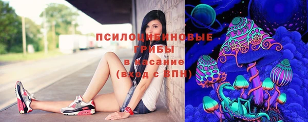 гидра Белоозёрский