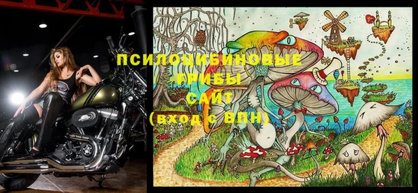 гидра Белоозёрский