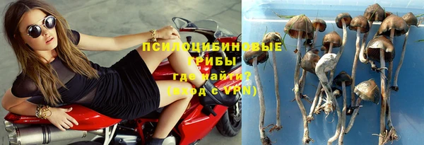 apvp Белокуриха