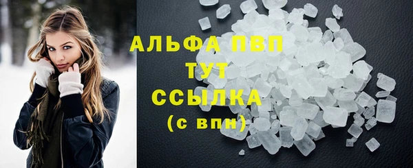 apvp Белокуриха