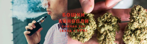 гидра Белоозёрский