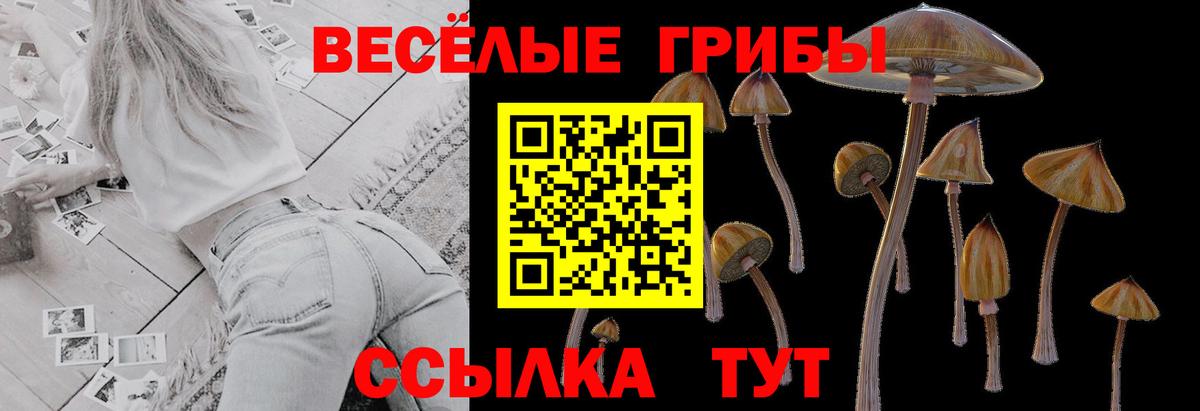 Галлюциногенные грибы Psilocybine cubensis  Галлюциногенные грибы Magic Shrooms  Дальнегорск  Вход с VPN 